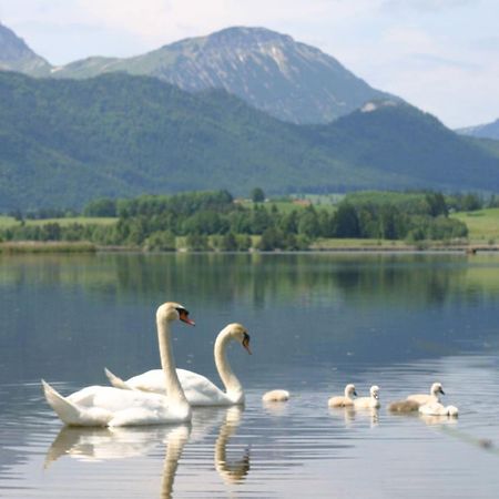 Füssen Landhaus Seeblick 아파트 외부 사진