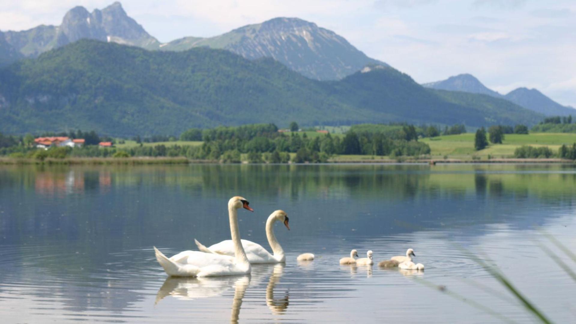 Füssen Landhaus Seeblick 아파트 외부 사진